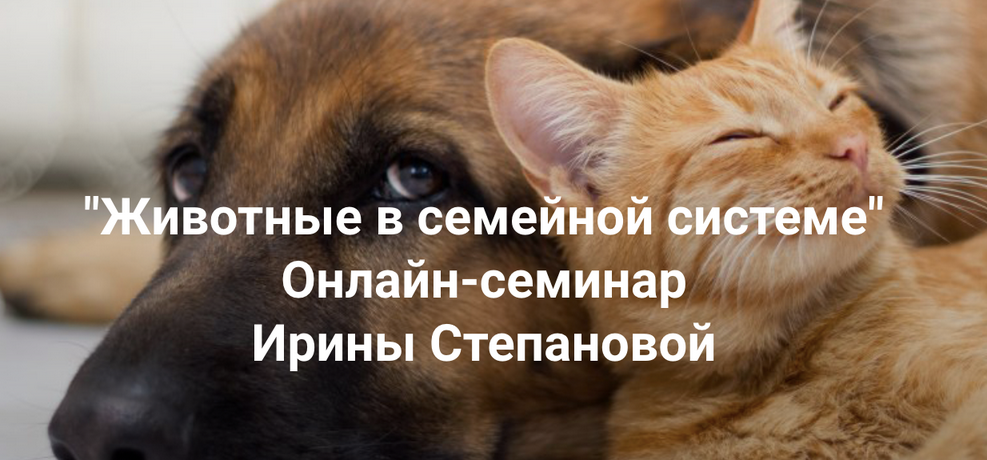 [Ирина Степанова] [Институт Открытого поля] Животн_0.png